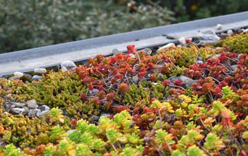 the cost of Chilgrove green roof installation