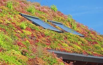 Chilgrove living roof systems
