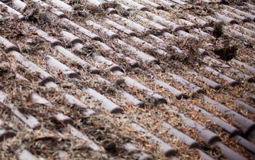 Chilgrove roof cleaning companies