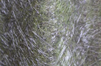 Chilgrove fibreglass roof work